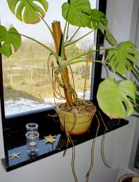 Fensterbank
